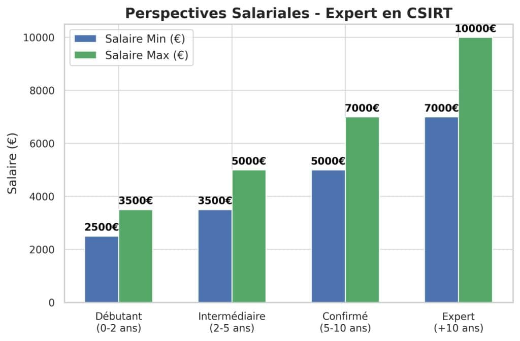 Salaire et débouchés d'un ingénieur en cybersécurité